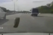 Tai nạn có thể đến bất cứ lúc nào