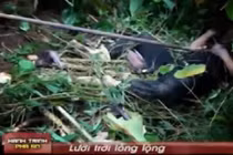 Hành trình phá án: Lưới trời lồng lộng