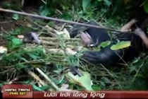 Hành trình phá án: Lưới trời lồng lộng