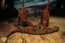 Sự thật trong những bộ phim kinh dị