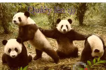 Giây phút “nguy hiểm” của động vật (39)