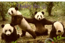 Giây phút “nguy hiểm” của động vật (39)