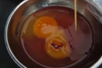 Phát hiện sinh vật lạ bò ngoe nguẩy trong trứng gà