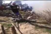 Nam thanh niên tự sướng... giẫm đạp lên lưng cá sấu