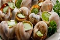 Chết não vì ăn ốc sên... chữa bệnh