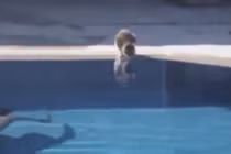 Những cú nhảy siêu hài hước của mèo