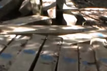 Cận cảnh gỗ rừng bị đốn hạ la liệt ở Quảng Nam