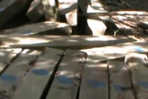 Cận cảnh gỗ rừng bị đốn hạ la liệt ở Quảng Nam