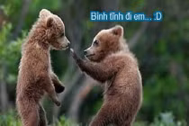 Giây phút “nguy hiểm” của động vật (45)