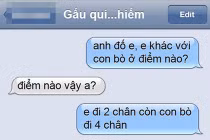 Tin nhắn “chế” khiến dân mạng... cười đau ruột (13)
