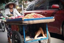 Ứa nước mắt ảnh bà chở cháu đi bán hàng rong