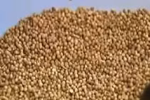 Cộng đồng mạng cùng gồng mình chống dịch sởi