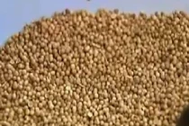 Cộng đồng mạng cùng gồng mình chống dịch sởi