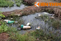 Cánh đồng cải Gia Lâm la liệt vỏ thuốc sâu độc hại 