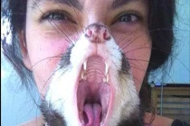 Khoảnh khắc dễ thương của động vật