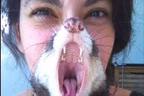 Khoảnh khắc dễ thương của động vật