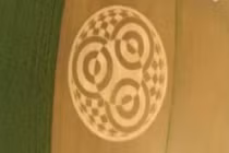 Bí ẩn vòng tròn khủng xuất hiện trên cánh đồng lúa