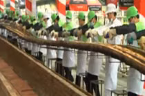 Bánh mỳ baguette dài nhất Việt Nam