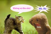 Khi động vật tỏ ra “nguy hiểm” (P3)