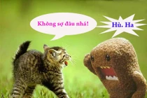 Khi động vật tỏ ra “nguy hiểm” (P3)