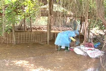 Virus cúm mới vào Việt Nam từ gà, vịt nhập lậu