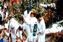 Người duy nhất sống sót sau tai nạn máy bay