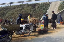 Mối lo “gà đầu trọc” tại chợ Hà Nội