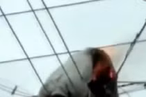 Chán sống, leo cột điện tự tử