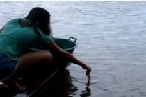 Câu cá Hổ Piranha theo phong cách bá đạo