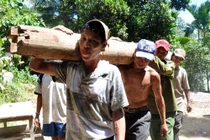 “Người rừng” hớn hở xây dựng nhà mới