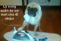 Khi động vật tỏ ra “nguy hiểm” (P7)