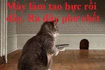 Khi động vật tỏ ra “nguy hiểm” (P8)