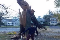 Chộp khoảnh khắc hài hước trong cuộc sống (90)