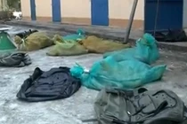 Bắt giữ đối tượng vận chuyển 60kg rắn hổ mang chúa