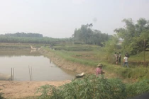 Vĩnh Phúc: Con tìm thấy thi thể cha ở mép bờ ao