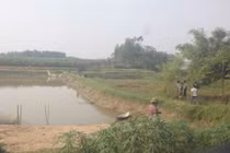 Vĩnh Phúc: Con tìm thấy thi thể cha ở mép bờ ao