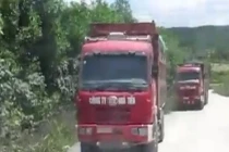 Xem xe “hổ vồ” rầm rầm lọt qua trạm cân