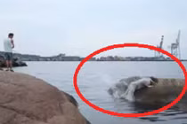 Trai trẻ đập mặt vào đá vì thích thể hiện