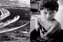 Hành trình đi tìm công lý cho nạn nhân da cam VN