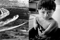 Hành trình đi tìm công lý cho nạn nhân da cam VN