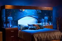 “Mê tít” những căn phòng thiết kế theo sở thích