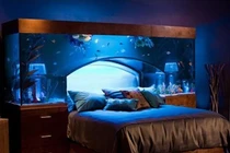 “Mê tít” những căn phòng thiết kế theo sở thích