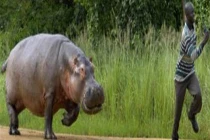 Chộp khoảnh khắc hài hước trong cuộc sống (48)