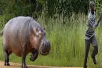 Chộp khoảnh khắc hài hước trong cuộc sống (48)