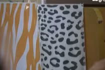 Giấy làm từ phân voi 