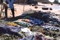 37 người bị đâm, bắn vì... 1 con bò