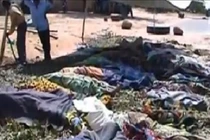 37 người bị đâm, bắn vì... 1 con bò