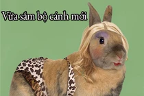 Cười nắc nẻ khi động vật tỏ ra “nguy hiểm” (P19)