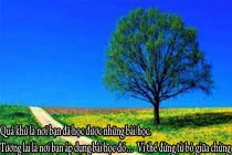 Những câu nói không hay nhưng đủ để suy ngẫm (5)