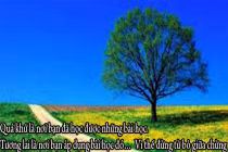 Những câu nói không hay nhưng đủ để suy ngẫm (5)